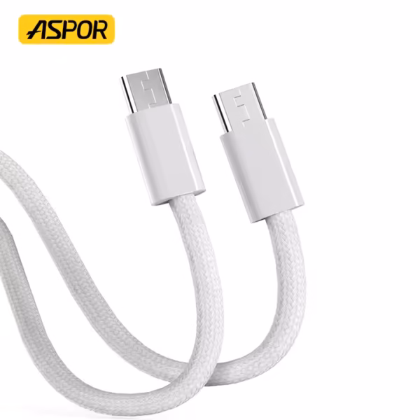 Aspor A012 100W Type-C Cable