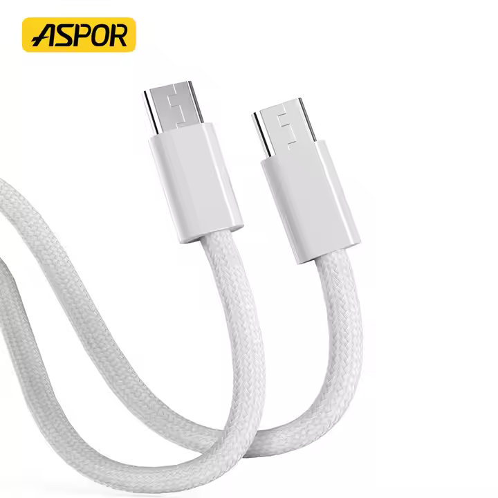 Aspor A012 100W Type-C Cable
